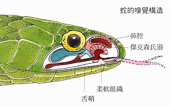 搜狗截图23年06月30日2130_1.png