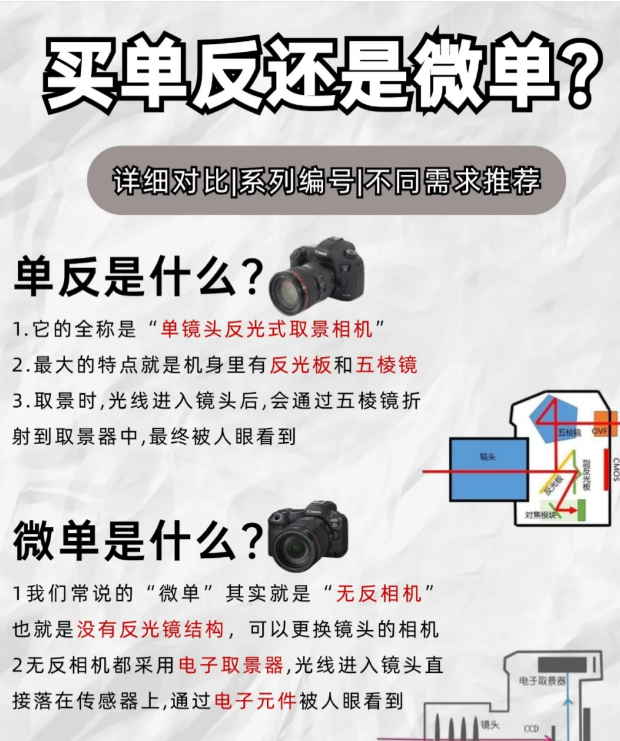 单反相机和数码相机的区别