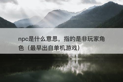npc是什么意思，指的是非玩家角色（最早出自单机游戏）