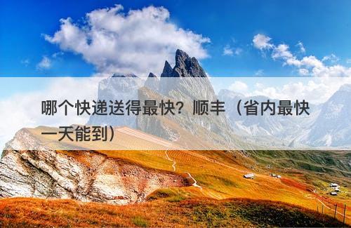 哪个快递送得最快？顺丰（省内最快一天能到）