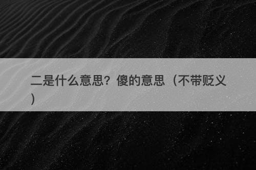 二是什么意思？傻的意思（不带贬义）
