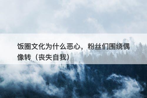 饭圈文化为什么恶心，粉丝们围绕偶像转（丧失自我）