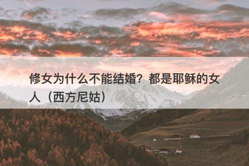 修女为什么不能结婚？都是耶稣的女人（西方尼姑）