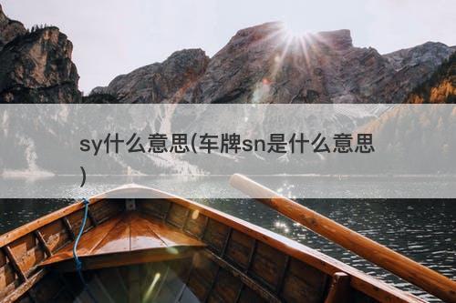 sy什么意思(车牌sn是什么意思)