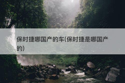 保时捷哪国产的车(保时捷是哪国产的)