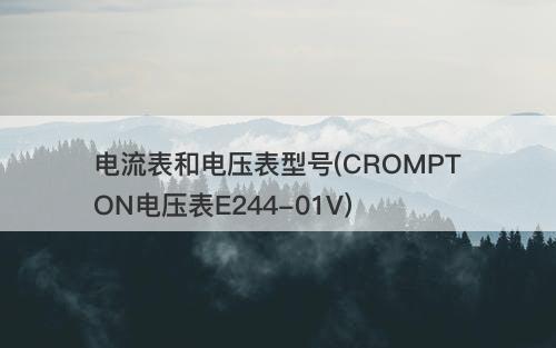 电流表和电压表型号(CROMPTON电压表E244-01V)