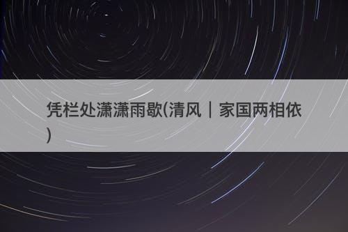 凭栏处潇潇雨歇(清风｜家国两相依)