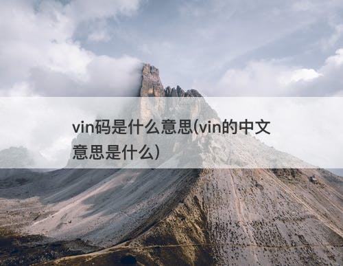 vin码是什么意思(vin的中文意思是什么)-图1 vin码是什么意思(vin的中文意思是什么)-图1