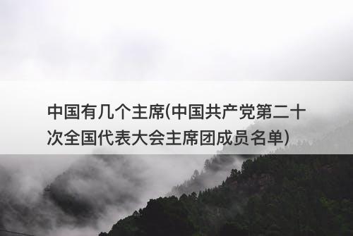 中国有几个主席(中国共产党第二十次全国代表大会主席团成员名单)-图1