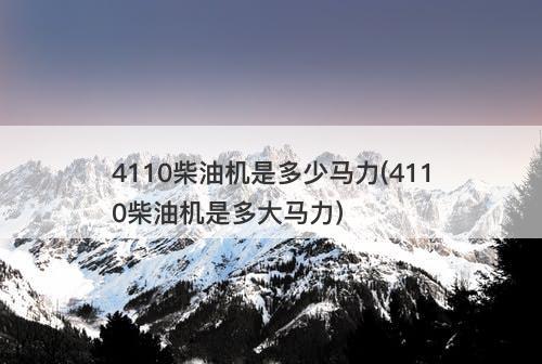 4110柴油机是多少马力(4110柴油机是多大马力)-图1