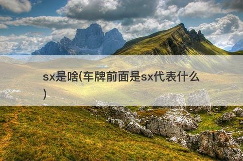 sx是啥(车牌前面是sx代表什么)-图1