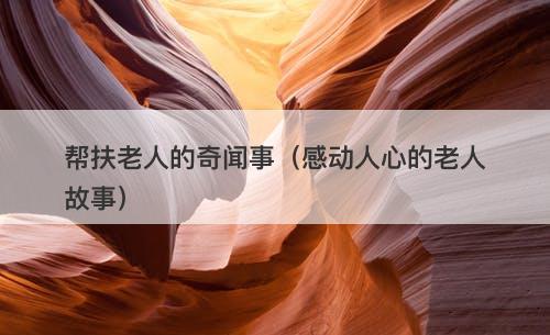 帮扶老人的奇闻事（感动人心的老人故事）-图1