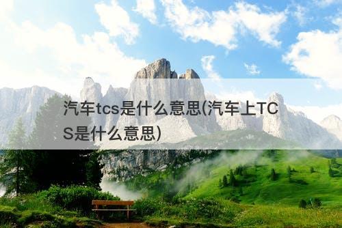 汽车tcs是什么意思(汽车上TCS是什么意思)