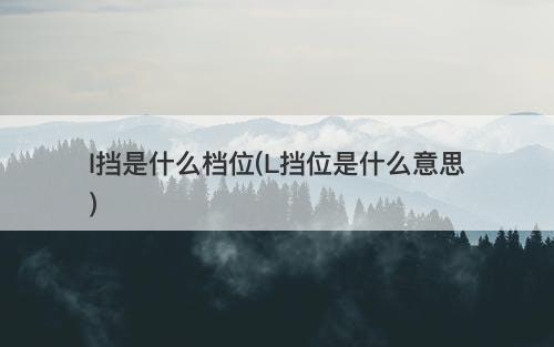 l挡是什么档位(L挡位是什么意思)-图1