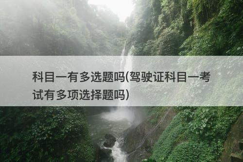 科目一有多选题吗(驾驶证科目一考试有多项选择题吗)