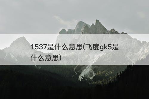 1537是什么意思(飞度gk5是什么意思)