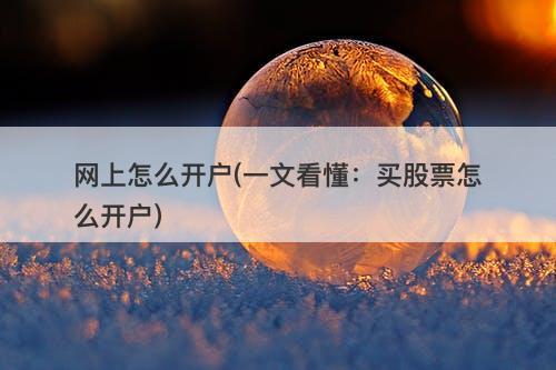 网上怎么开户(一文看懂：买股票怎么开户)
