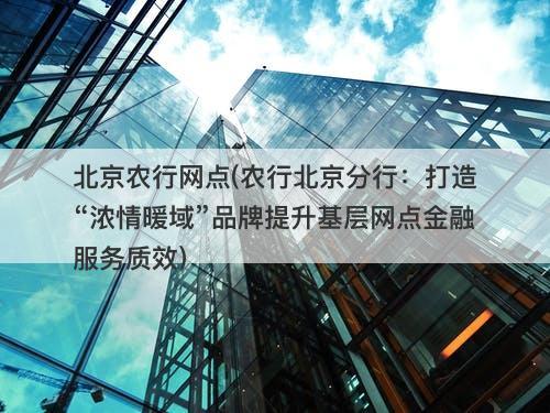 北京农行网点(农行北京分行：打造“浓情暖域”品牌提升基层网点金融服务质效)-图1