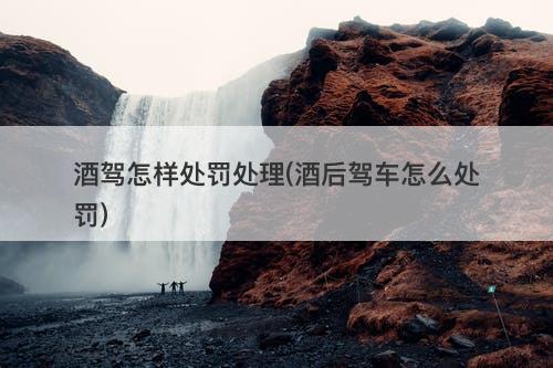 酒驾怎样处罚处理(酒后驾车怎么处罚)-图1