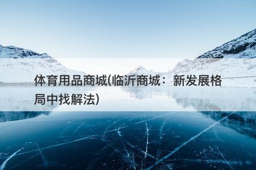 体育用品商城(临沂商城：新发展格局中找解法)-图1