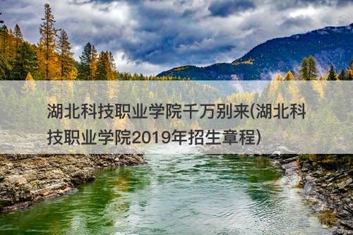 湖北科技职业学院千万别来(湖北科技职业学院2019年招生章程)-图1