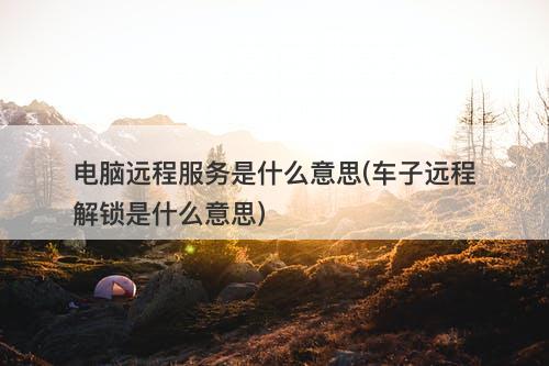 电脑远程服务是什么意思(车子远程解锁是什么意思)