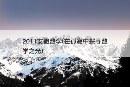 2011安徽数学(在孤寂中探寻数学之光)