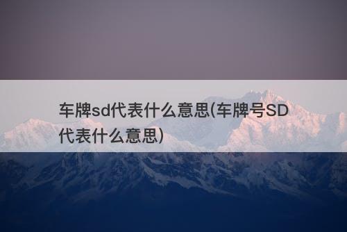 车牌sd代表什么意思(车牌号SD代表什么意思)