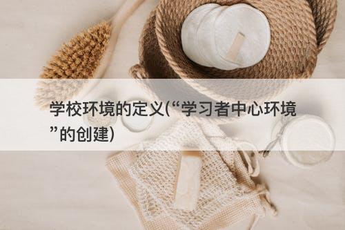 学校环境的定义(“学习者中心环境”的创建)-图1