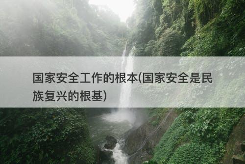 国家安全工作的根本(国家安全是民族复兴的根基)