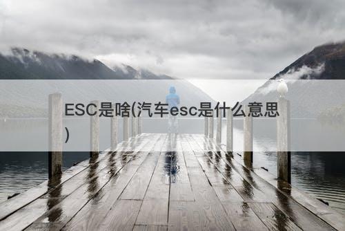 ESC是啥(汽车esc是什么意思)