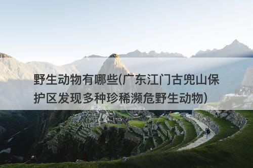 野生动物有哪些(广东江门古兜山保护区发现多种珍稀濒危野生动物)-图1 野生动物有哪些(广东江门古兜山保护区发现多种珍稀濒危野生动物)-图1