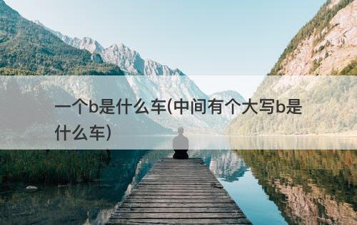 一个b是什么车(中间有个大写b是什么车)