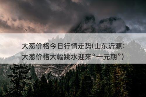 大葱价格今日行情走势(山东沂源:大葱价格大幅跳水迎来“一元期”)-图1 大葱价格今日行情走势(山东沂源:大葱价格大幅跳水迎来“一元期”)-图1