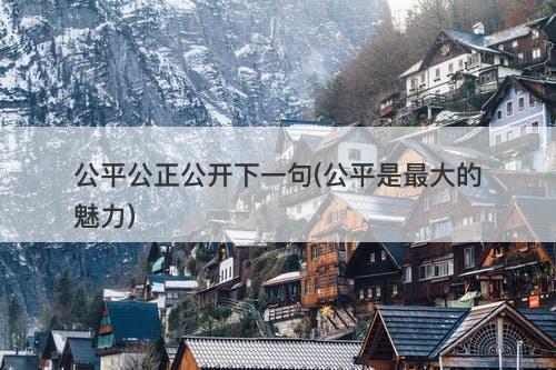 公平公正公开下一句(公平是最大的魅力)
