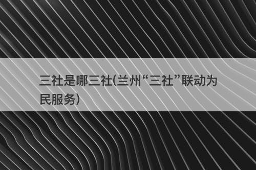 三社是哪三社(兰州“三社”联动为民服务)