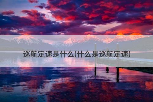 巡航定速是什么(什么是巡航定速)