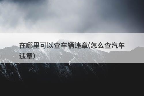 在哪里可以查车辆违章(怎么查汽车违章)
