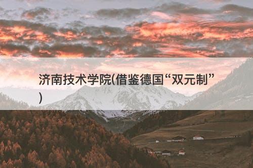 济南技术学院(借鉴德国“双元制”)