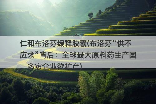 仁和布洛芬缓释胶囊(布洛芬“供不应求”背后：全球最大原料药生产国、多家企业欲扩产)