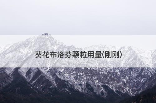葵花布洛芬颗粒用量(刚刚)