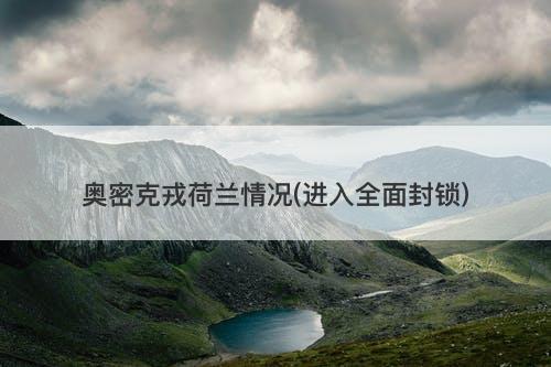 奥密克戎荷兰情况(进入全面封锁)-图1