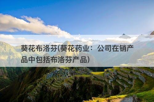 葵花布洛芬(葵花药业：公司在销产品中包括布洛芬产品)-图1