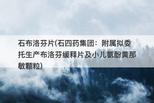 石布洛芬片(石四药集团：附属拟委托生产布洛芬缓释片及小儿氨酚黄那敏颗粒)