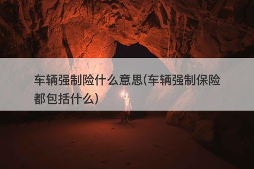 车辆强制险什么意思(车辆强制保险都包括什么)-图1