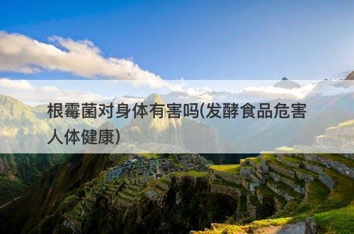 根霉菌对身体有害吗(发酵食品危害人体健康)-图1