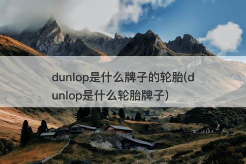 dunlop是什么牌子的轮胎(dunlop是什么轮胎牌子)-图1 dunlop是什么牌子的轮胎(dunlop是什么轮胎牌子)-图1