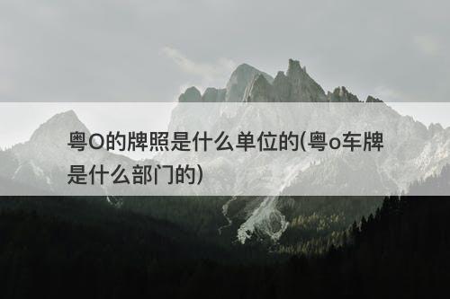 粤O的牌照是什么单位的(粤o车牌是什么部门的)-图1 粤O的牌照是什么单位的(粤o车牌是什么部门的)-图1