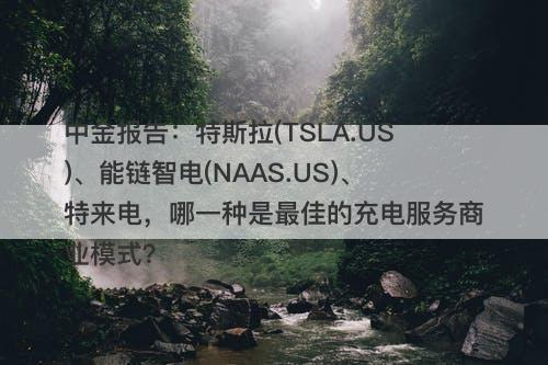 中金报告：特斯拉(TSLA.US)、能链智电(NAAS.US)、特来电，哪一种是最佳的充电服务商业模式？-图1