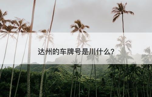 达州的车牌号是川什么？